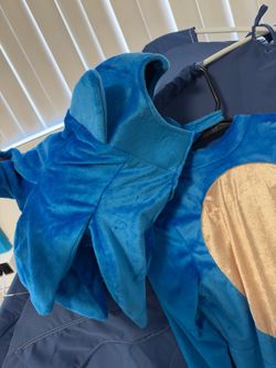 Sonic costume