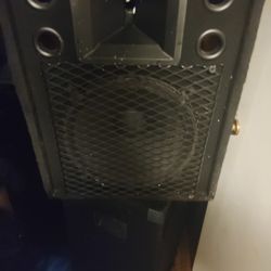 12 Inch Speakers 
