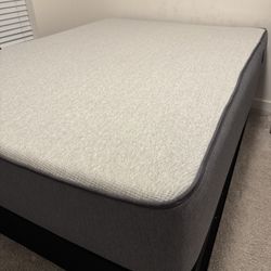 Casper Queen Mattress, Boxspring, and Metal Frame