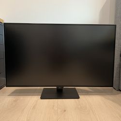 LG 43” Monitor