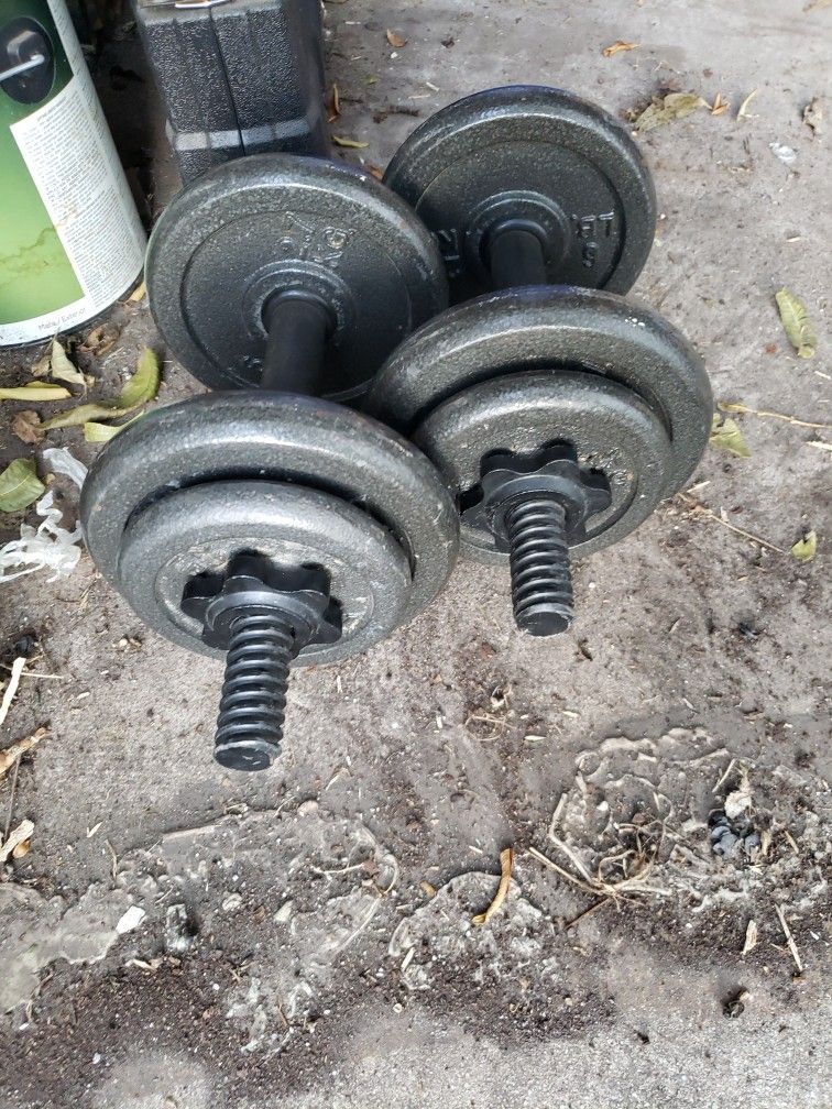 Cast IRON WEIGHTS / DUMBELLS