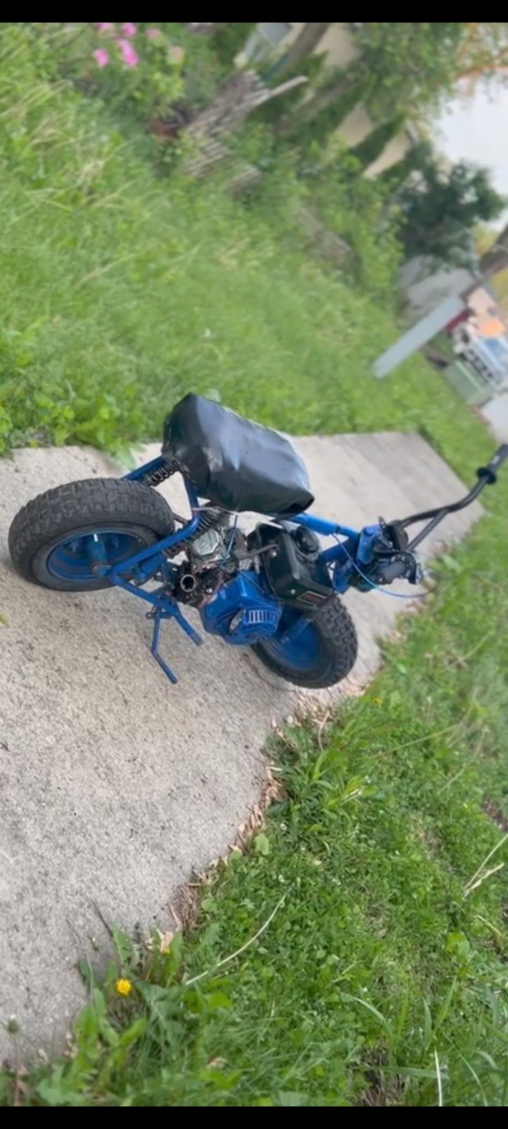 212 Predator Mini Bike
