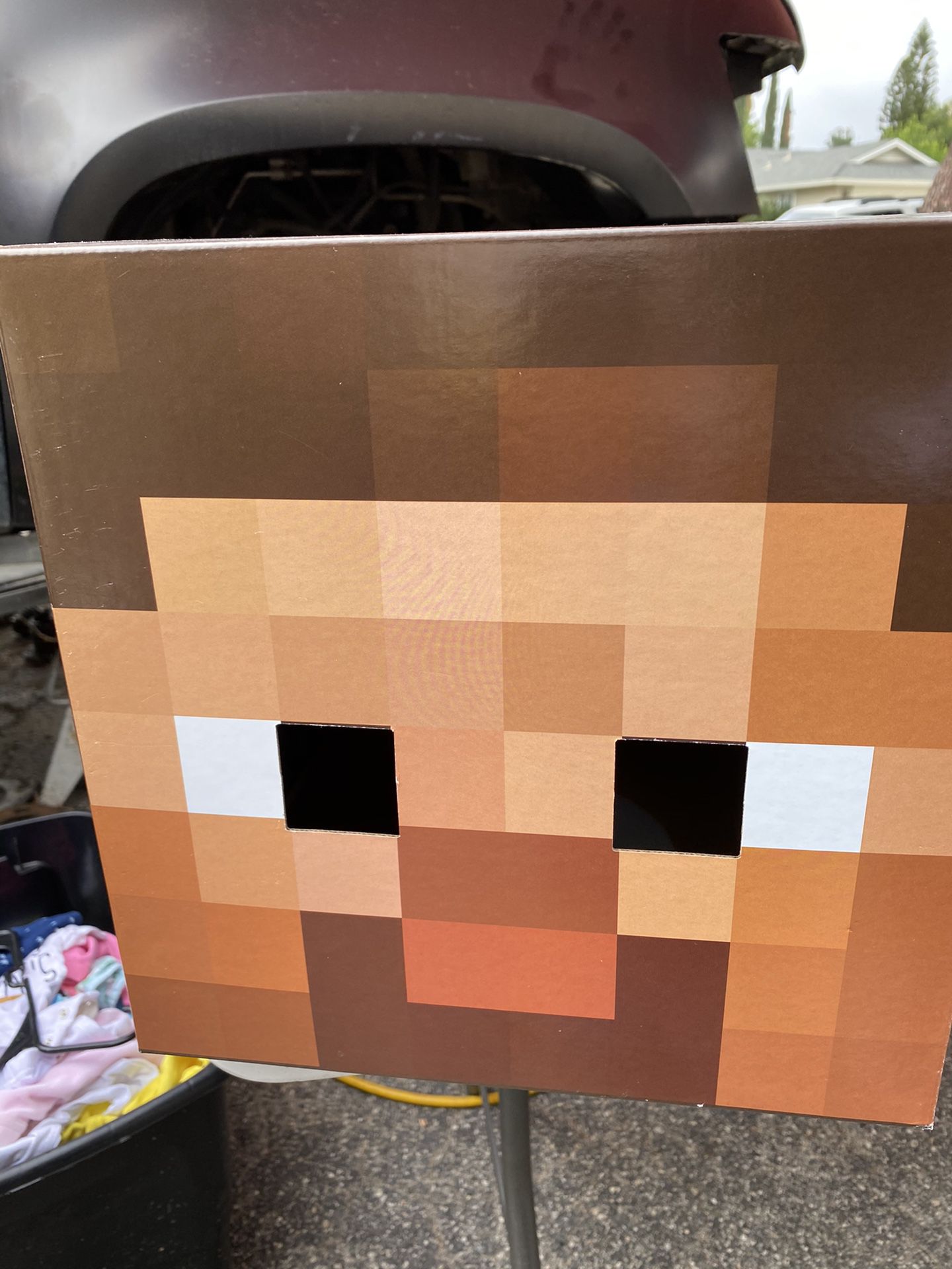 Steve Minecraft Carton Mask