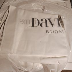 David's Bridal Bag 