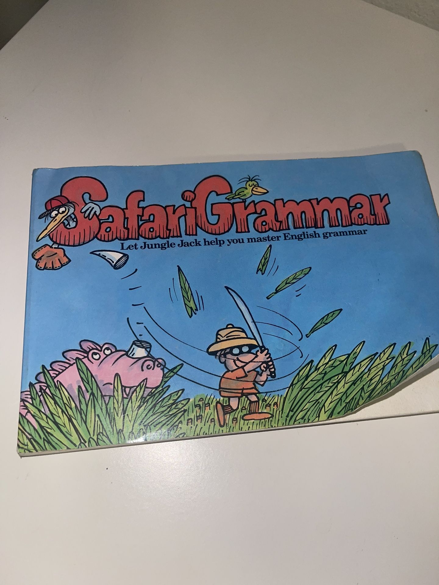 Safari Grammar: A Pleasant and Educational Trip Through Grammarland -