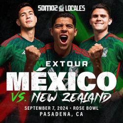 Mexico Game Ticket