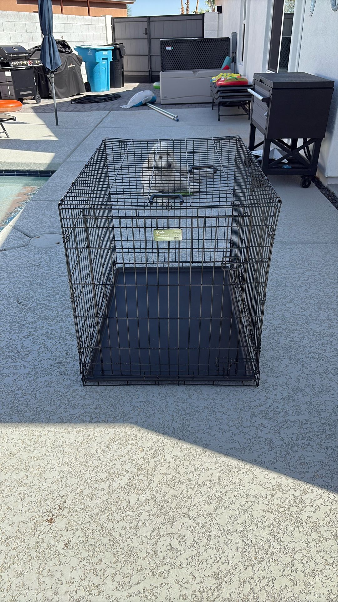 Dog Crate