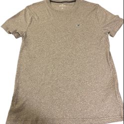 Hollister Gray t-shirt short sleeve Size Small 