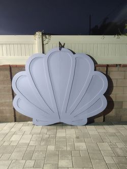 Sea shell backdrop