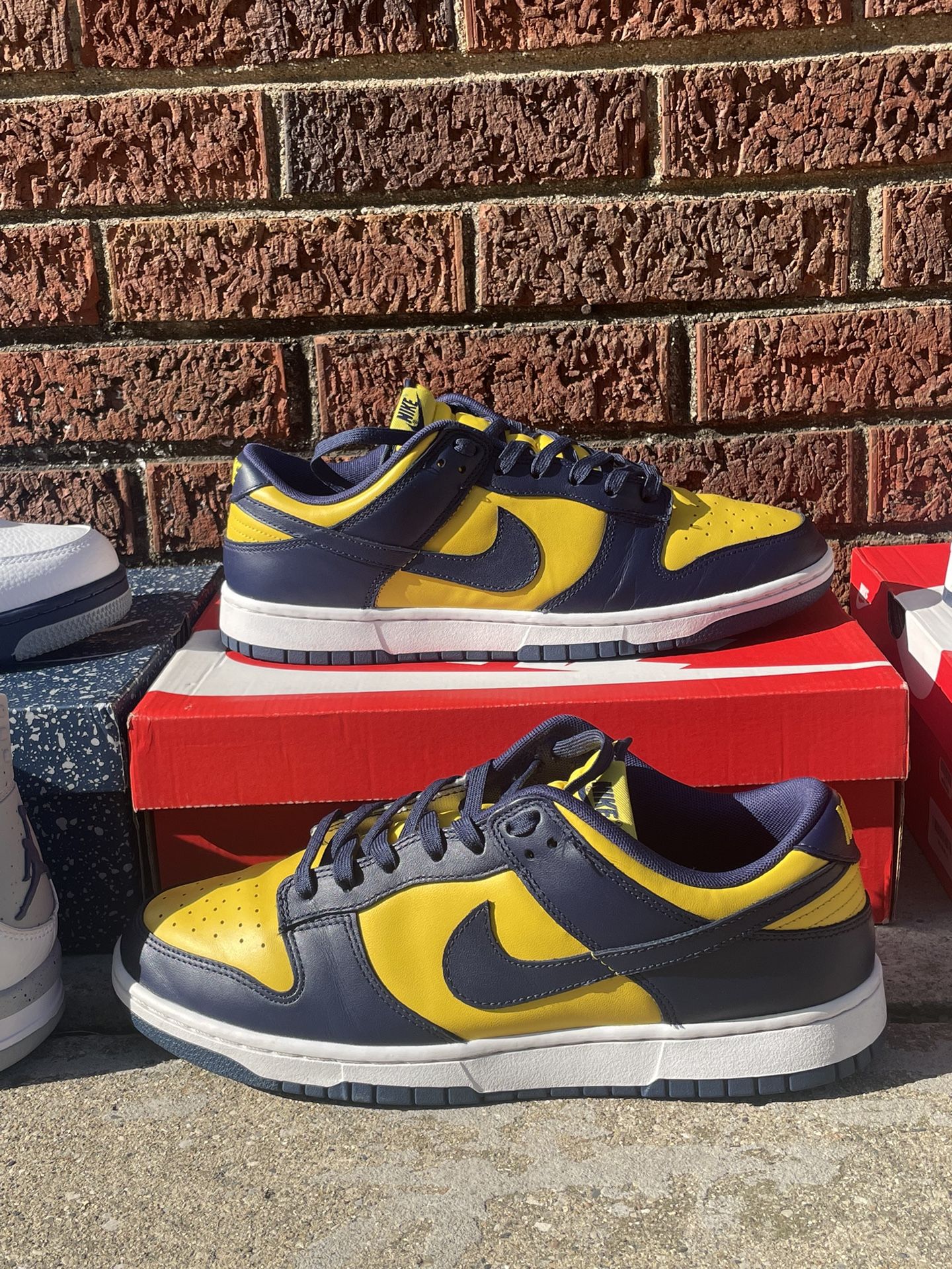 Nike Dunk Michigan