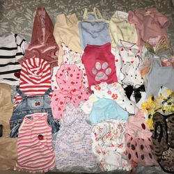 FEMALE MEDIUM-LARGE DOG CLOTHES 