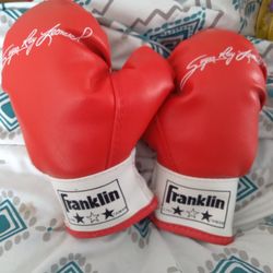 Sugar Ray Leanord Youth Boxing Gloves 