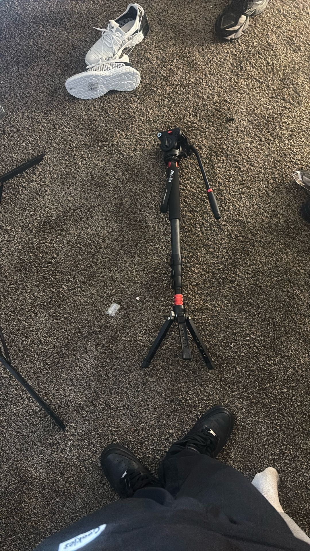 Neewer LED Light And Stand And Avella Tripod