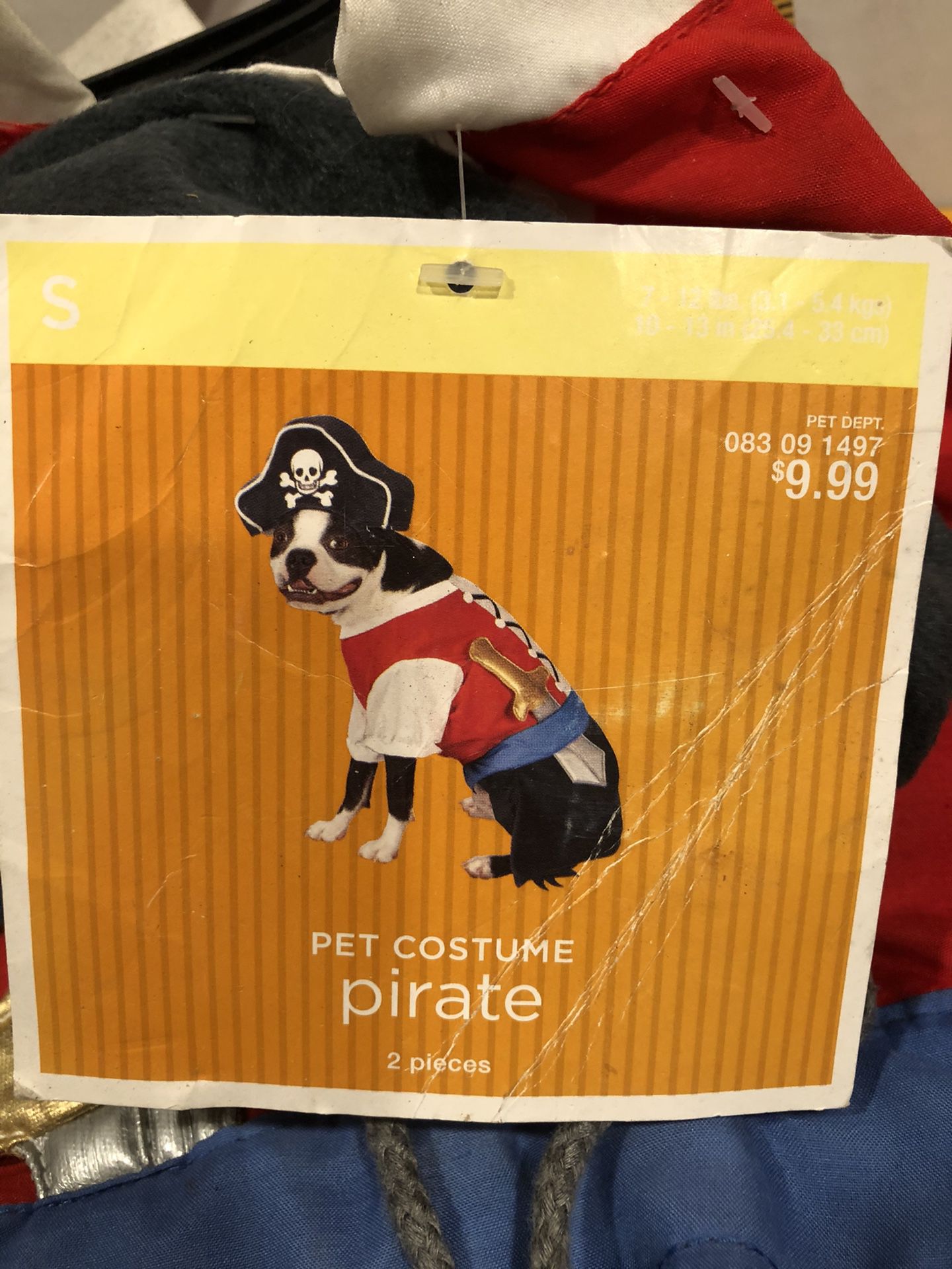 Dog costume pirate Halloween