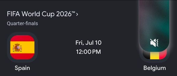 Spain vs. Belgium Quarter final
