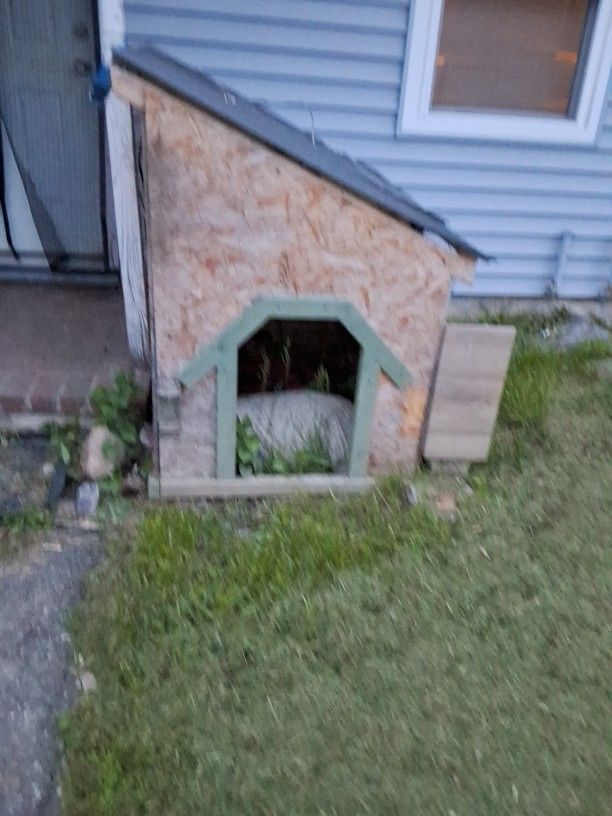 Large Wooden Dog House