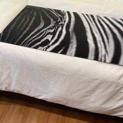 Zebra Painting White And Black