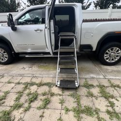 Large Dog Ramp