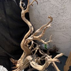 Huge Aquarium Driftwood