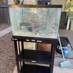 (Fully Completed) 20 Gallon Aquarium Fish Tank With Stand 