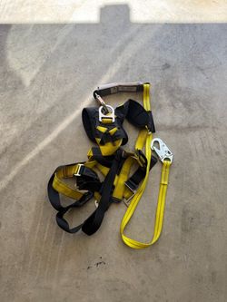 Fall harness