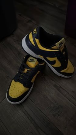Nike Dunks Size 7