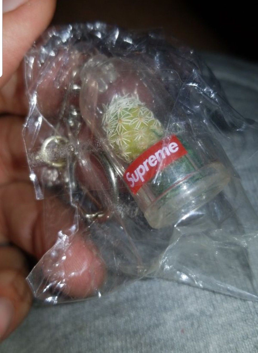 Supreme Cactus KeyChain