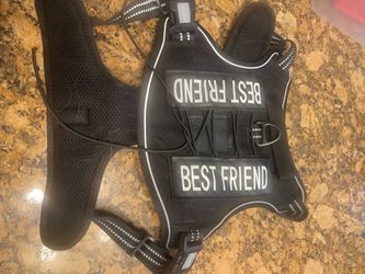 Dog harness
