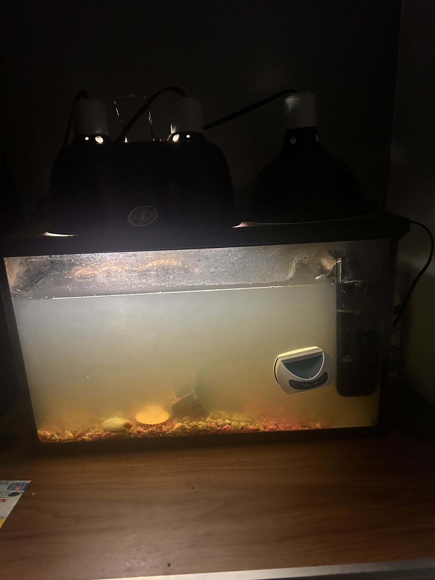 10gal Top Fin® LED Black Glass Aquarium