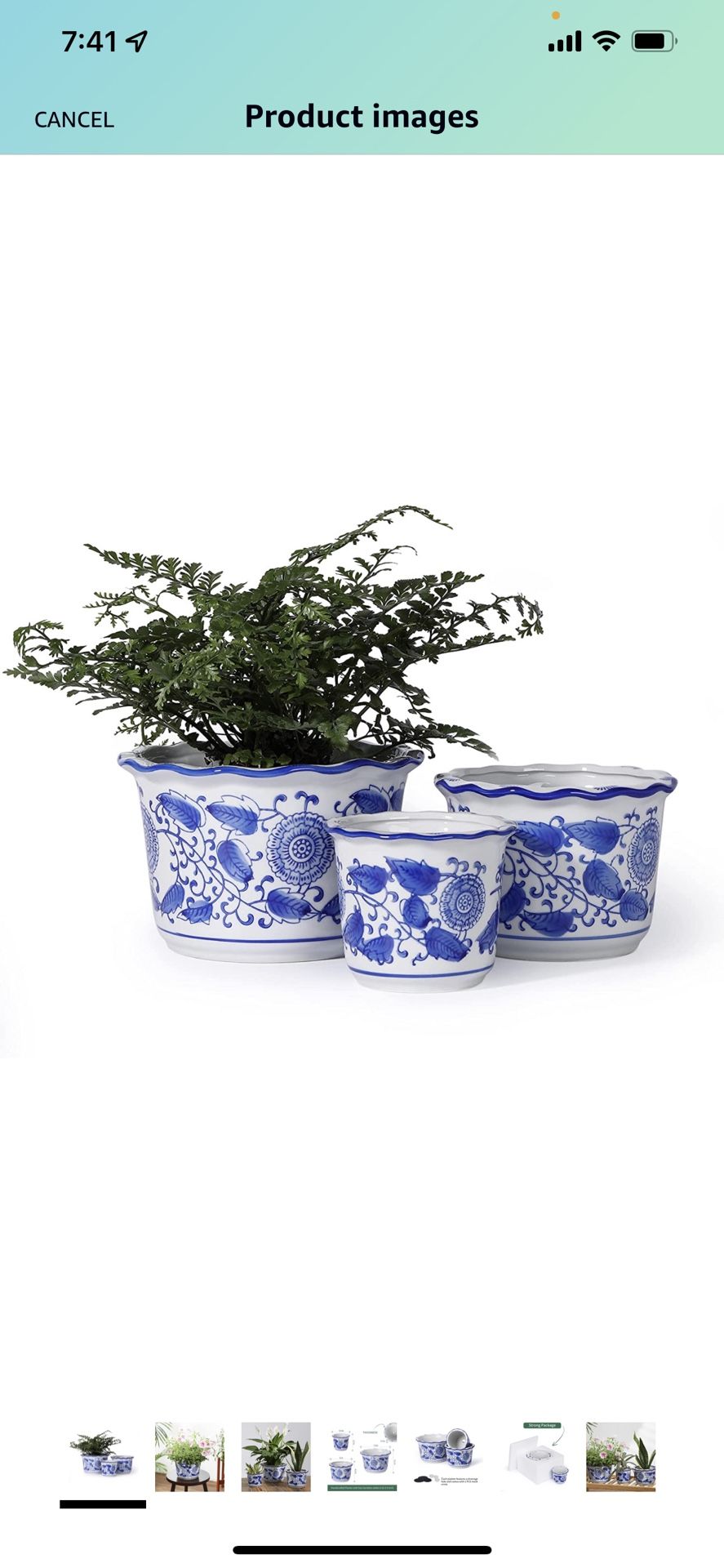 Porcelain Planters | Set of 3