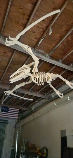 Dinosaur Bones