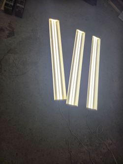 Shop lights