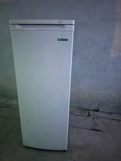Thomas Stand Up Freezer