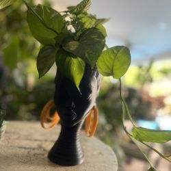 Flower planters