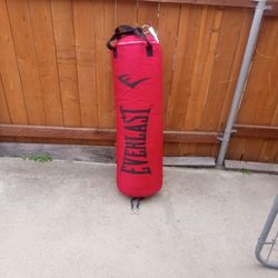 Everlast Punching Bag