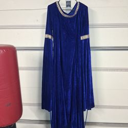 Renaissance Fair Medieval Lady Gown Dress Costume