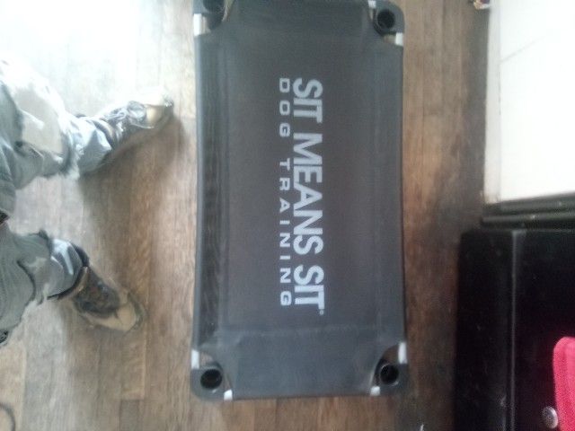 Sit Means Sit Dog Training Cot