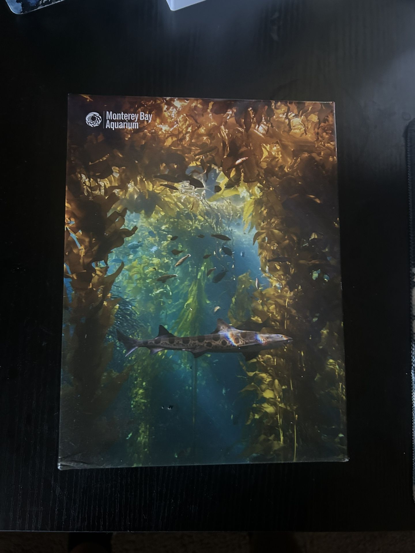 Jigsaw Puzzle Of The Monterey Bay