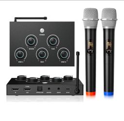 Wireless Karaoke Microphone System, Microphone Mixer Dual Handheld Wireless