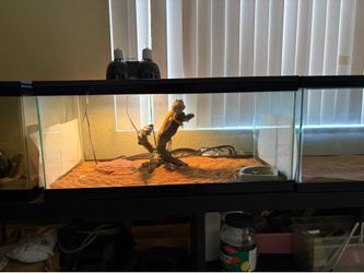 40 gallon glass tanks & supplies