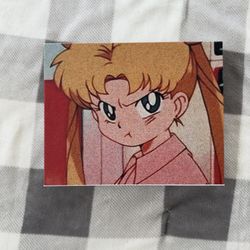Sailor Moon Canvas 