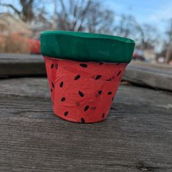 Watermelon Flower Pot