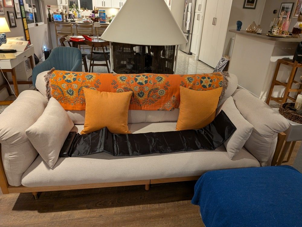 Wayfair Couch
