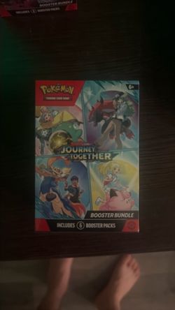 Journey Together Pokemon