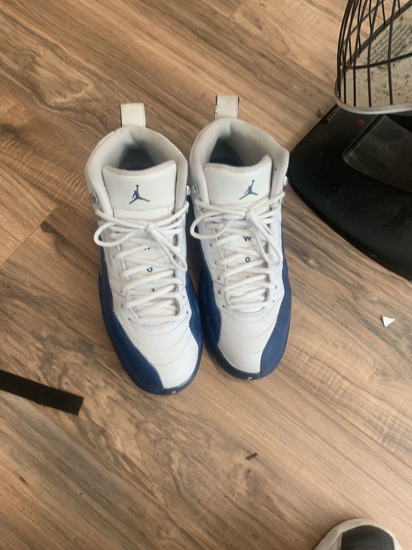 Jordan 12 