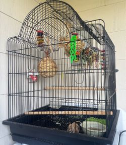 Large Black Bird Cage with Accessories