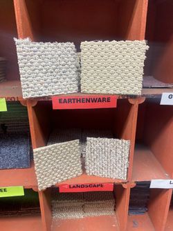 Carpet Cleaning And Harwood Floors