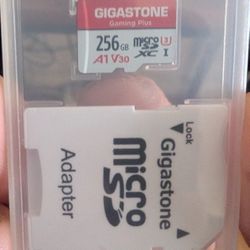 256GB Micro SD Card 