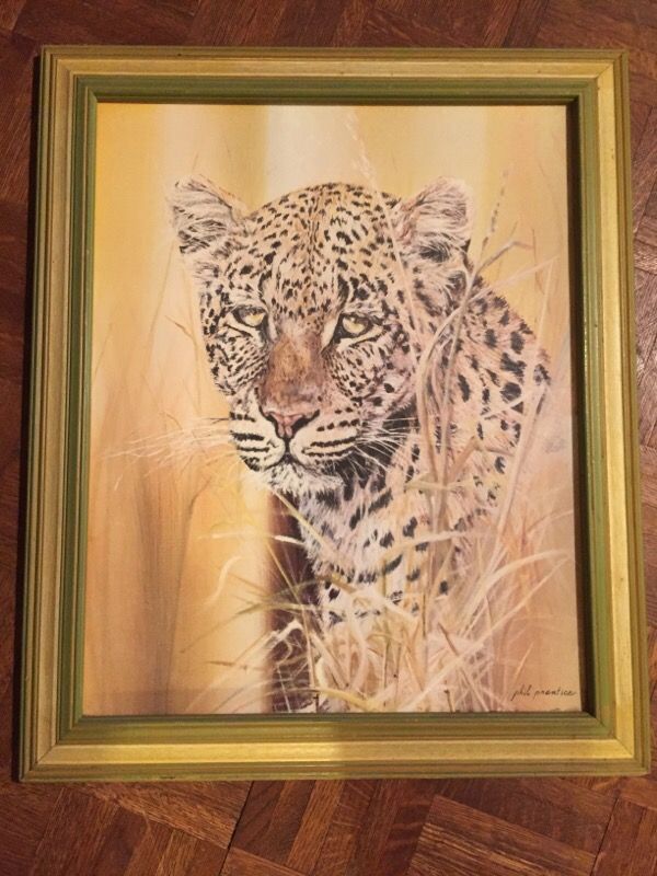 nu2nds: Leopard in the Grasses by Phil Prentice