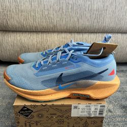 Nike Pegasus Gorettex Trail Blue